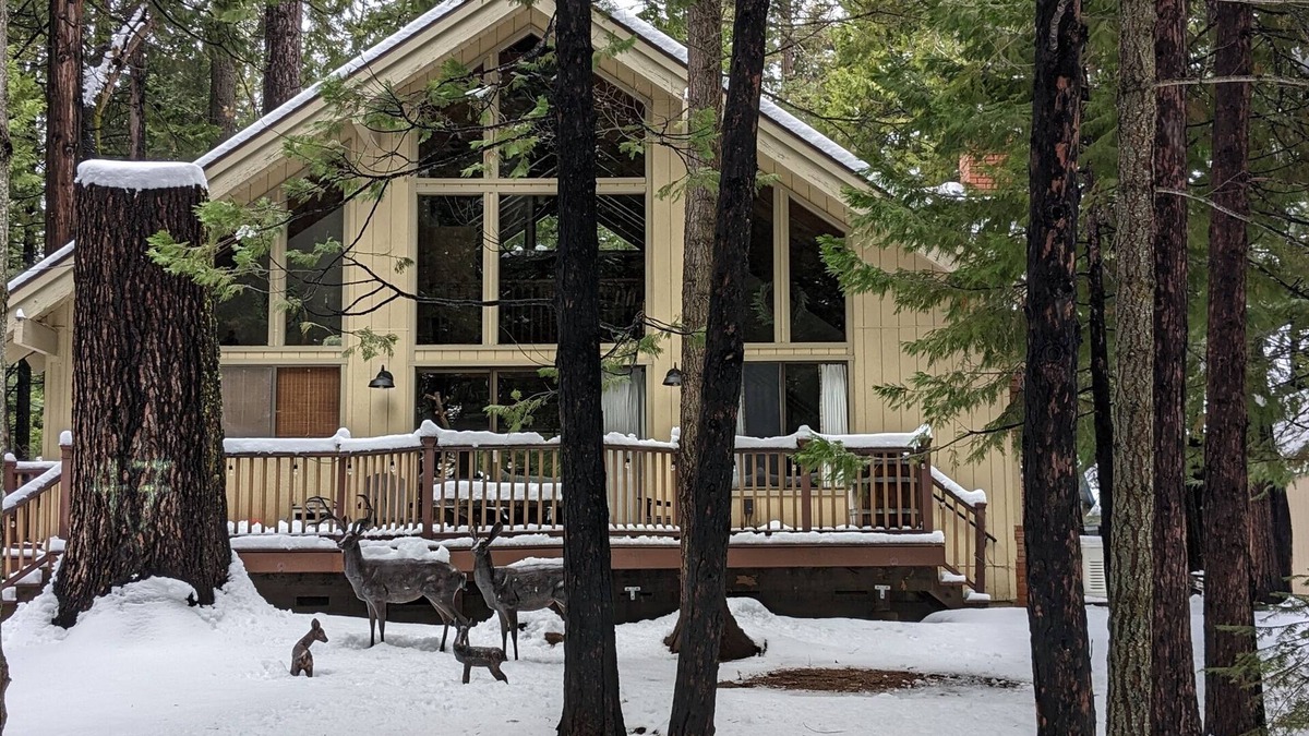Dorrington Cabin | Evergreen Pinecone Cottage Hot Tub Firepit, Espresso, Couples Love It!