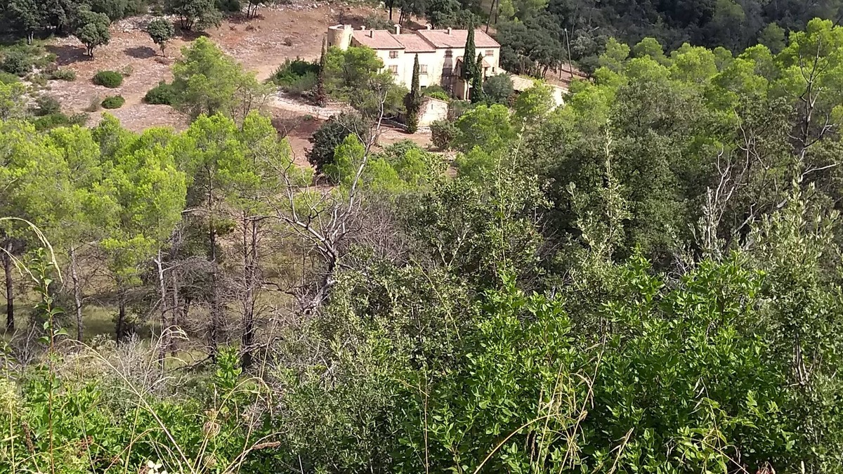 Saint-Bauzille-de-Montmel Other | Exceptional place in the countryside. A rare place near the Pic Saint Loup