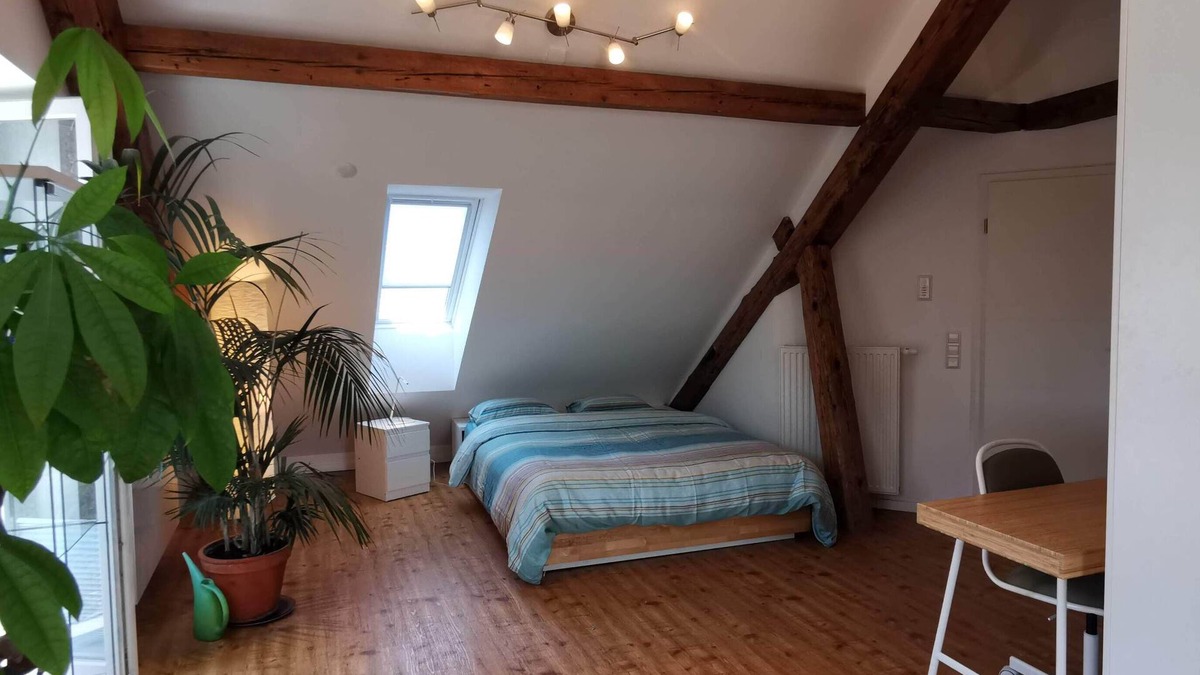 Klettgau Apartment | Exclusive penthouse - on the border to Switzerland. 30 min. Zurich or Rhine Falls