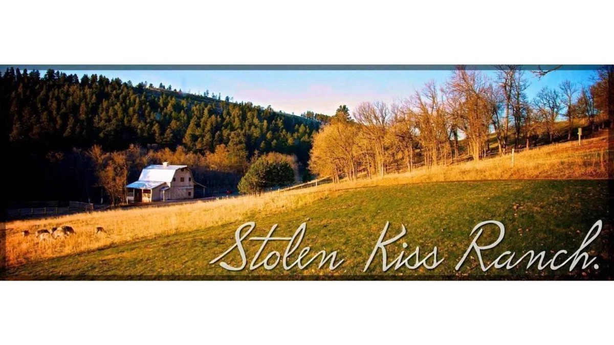 Deadwood House | Exclusive,Prisitne, Close to Deadwwod,Sturgis,Spearfish,20 acres, Pets Welcome.