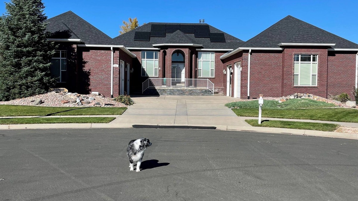 Brighton House | Executive Master Suite easy commute to the airport, and downtown Denver.