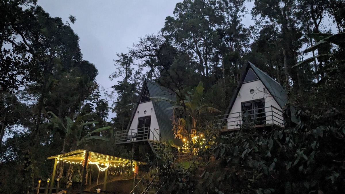 Madikeri House | Experience Serenity at Coorgology estate stay in Lush Coffee Plantations