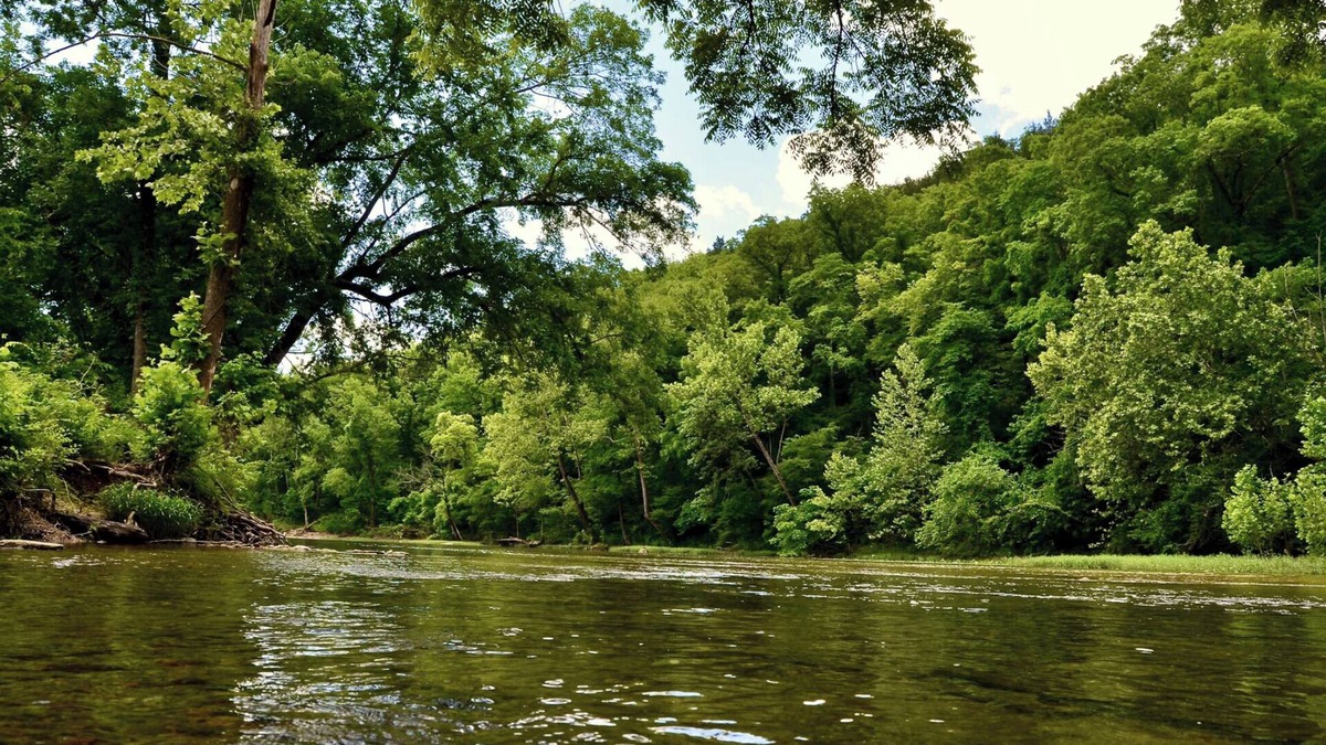 Branson Cabin | Experience the timeless charm of the Pinecrest Cabin, a delightful twist on the classic cabin style. Step inside and be greeted by the warm and rustic log cabin ambiance that will transport you to the heart of Branson, MO.