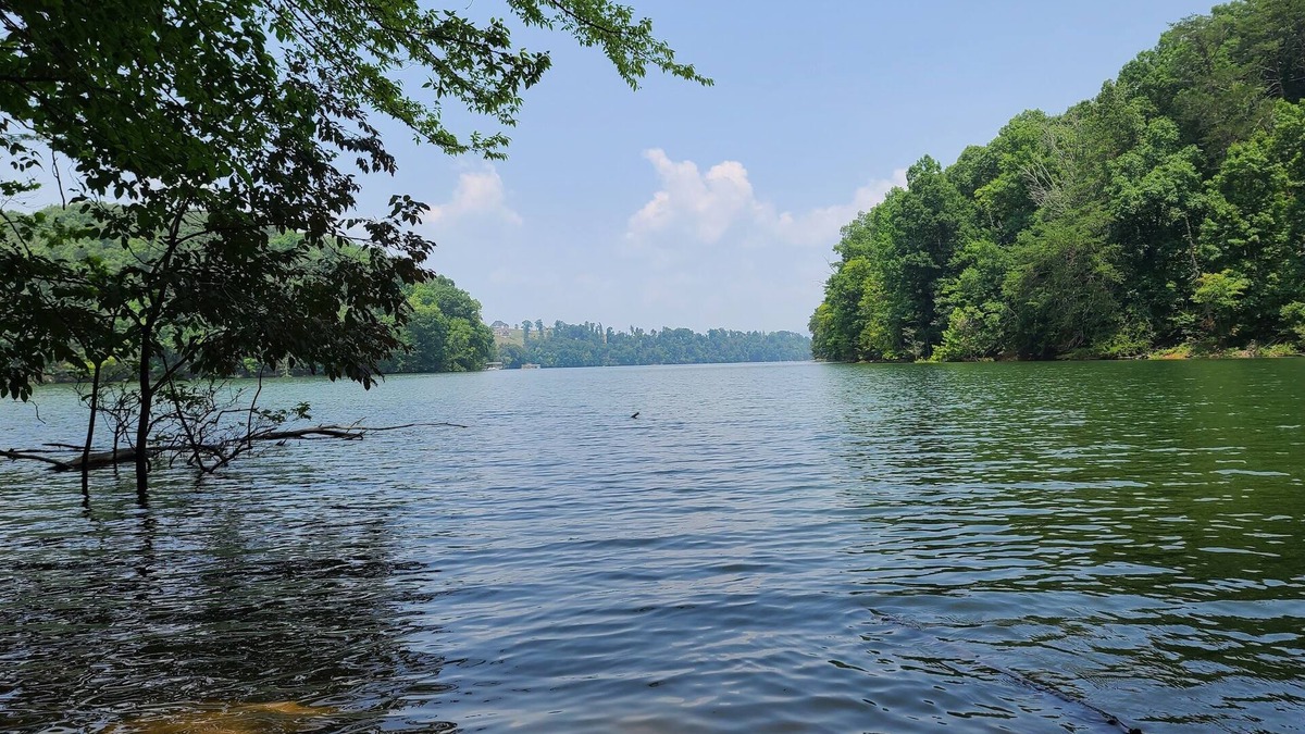 Morristown House | Experience tranquility near Douglas Lake 18 min
