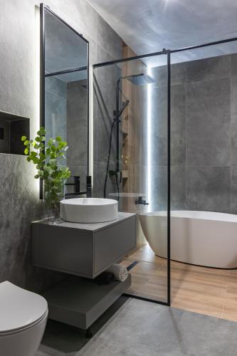 Baia Mare Apartment | Expozitiei ap. 6