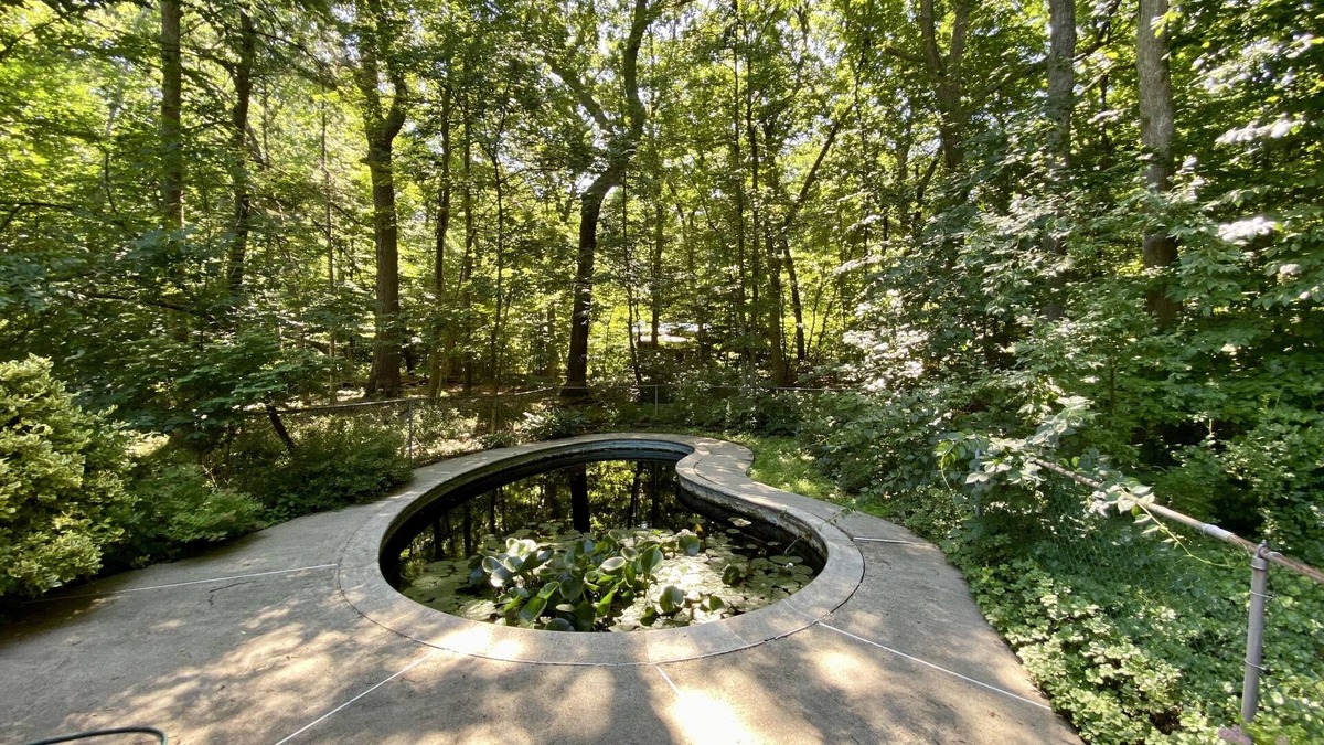 Natick House | Exquisite Contemporary Home Overlooking Woods