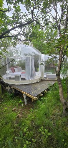 Rangarþing eystra Other | Eyja Mork - Aurora Igloo with shared Hot Tub, BBQ and kitchen - B2