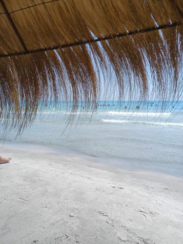 Ezzahra Apartment | Ezzahra Beach Haut Standing Proche Mer
