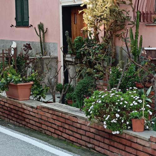 Bonassola Bed & Breakfast | Fabienne