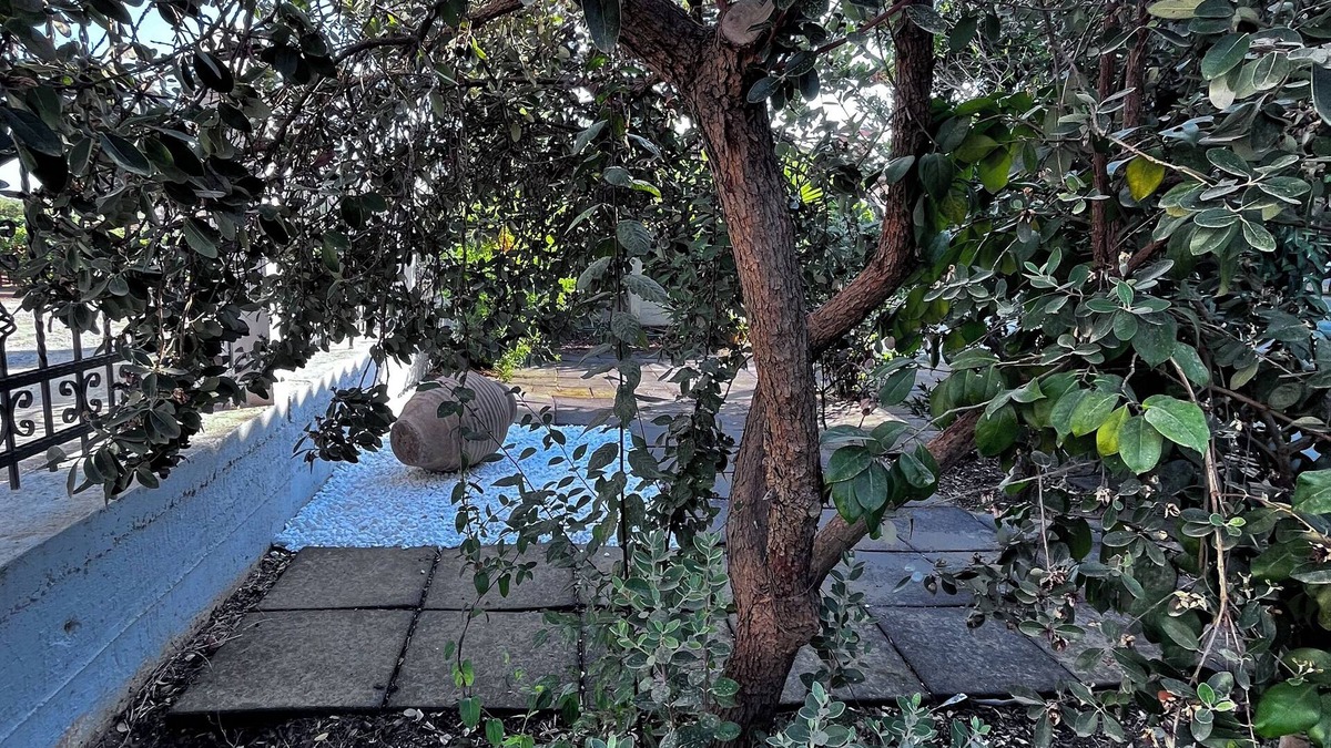 Nea Propontida House | Fabulous 2-bedroom house in Portaria not far from beautiful beaches!