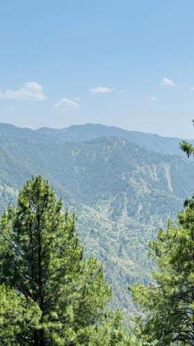 Nathia Gali Apartment | Faimly cottages