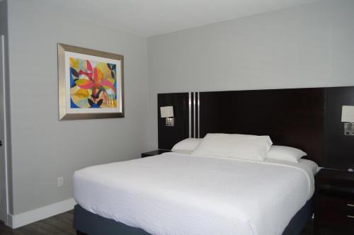 Healdsburg Hotel | Fairview Inn & Suites