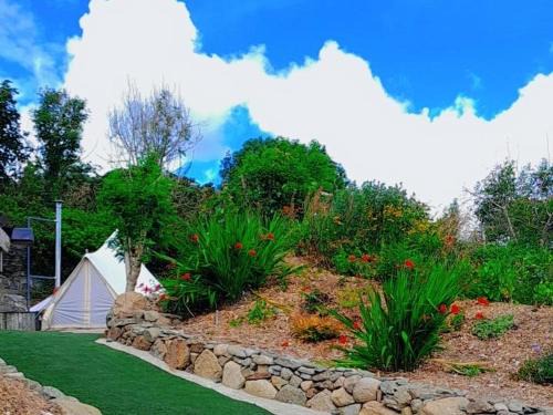 Carlingford Other | Fairy Cove at Rosemount Glamping