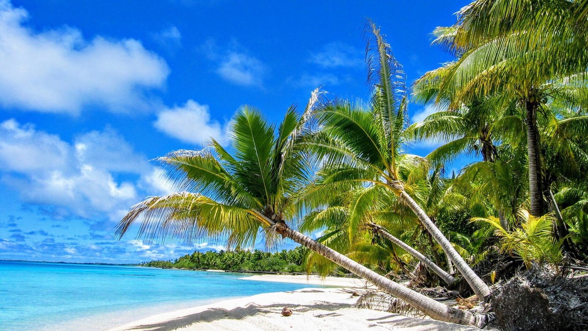 Fakarava Apartment | FAKARAVA SUD - Sea Renity Bungalow 2