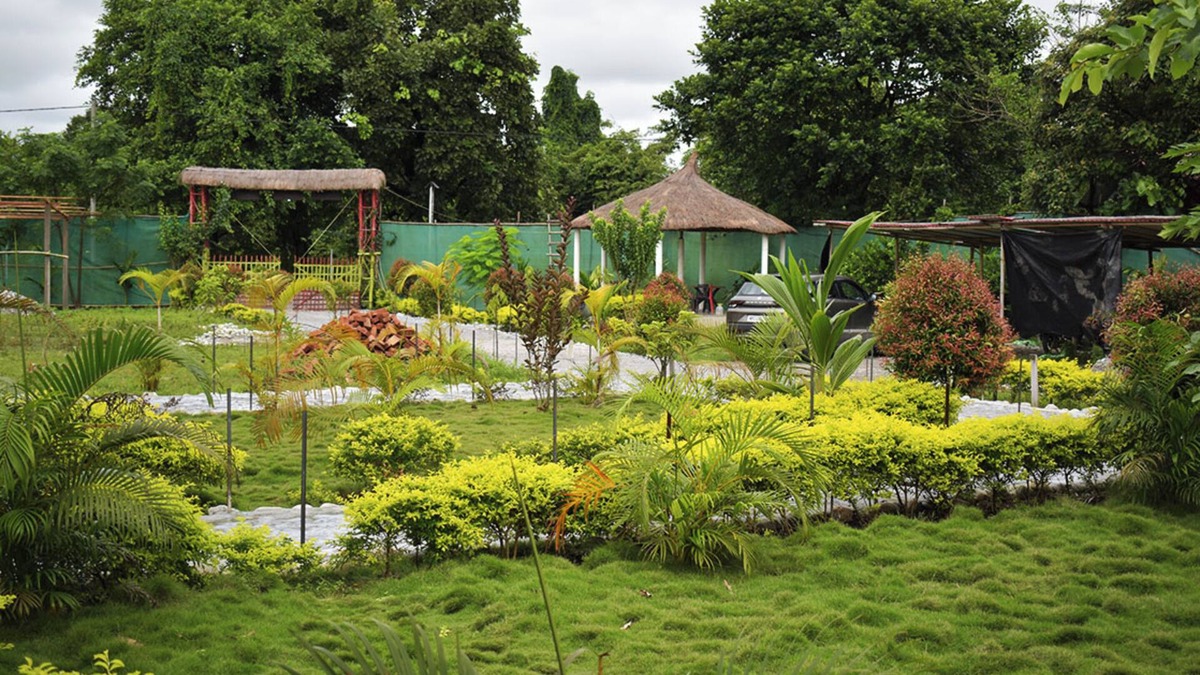 Barangabari Hotel | Falcon Jungle Resort