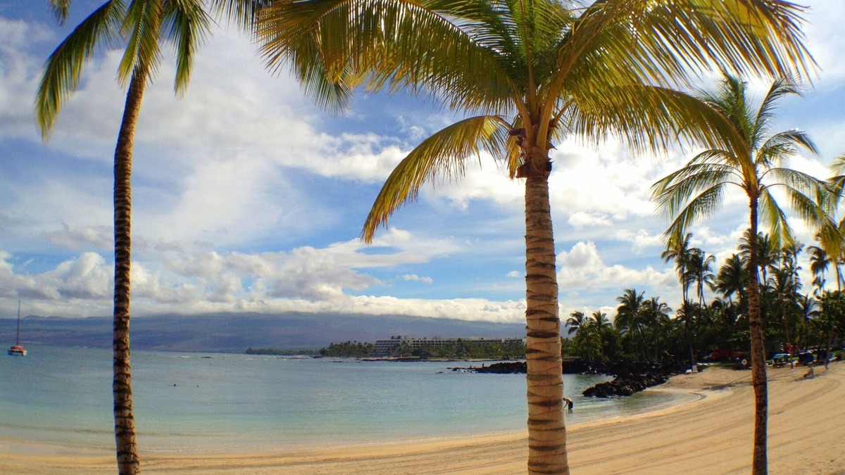 Kamuela House | Fall in Hawaii! See Our Location!.Read Our Reviews!.So Many Extras!