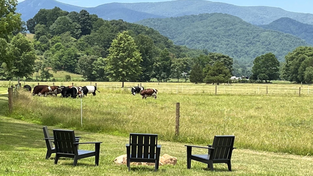 Roseland House | Fall is in full swing. No charge for the view!