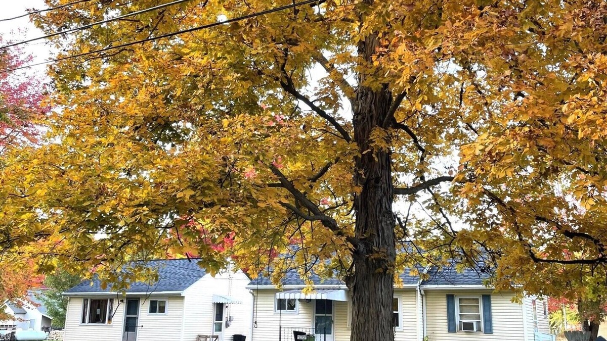 Pymatuning Central House | Family and Fishing Friendlynn