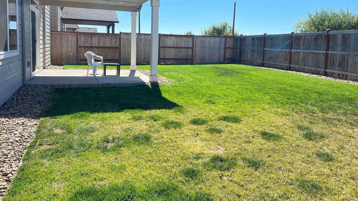 Alvadore House | Family and Pet Friendly House