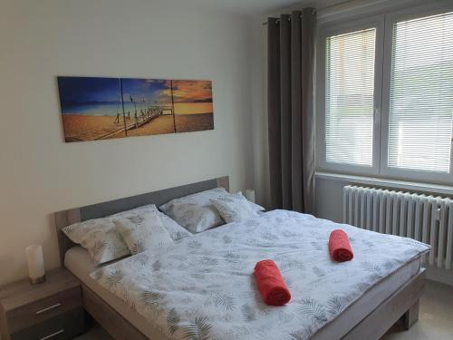 Kovarska Apartment | Family apartmán Kovářská