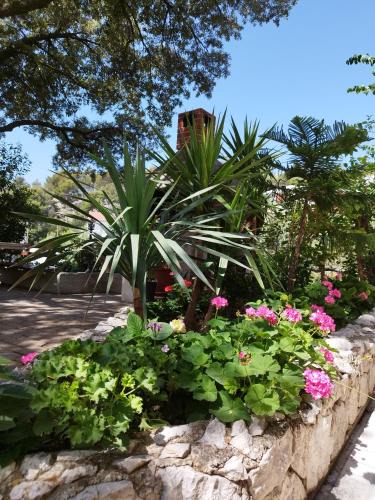 Krvavica Apartment | Family Beroš Friendly Place