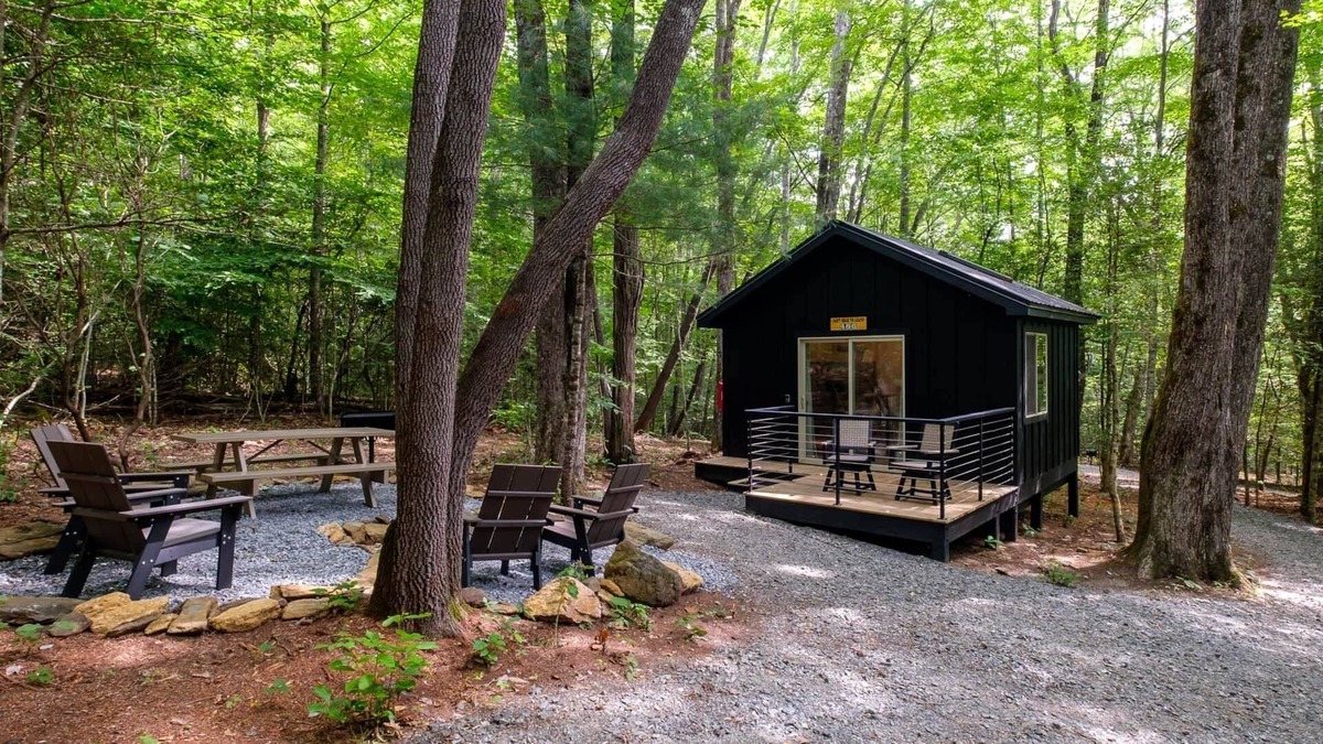 Balsam Grove Cabin | Family Bunk Glamping Cabin - Can't Bear To Leave