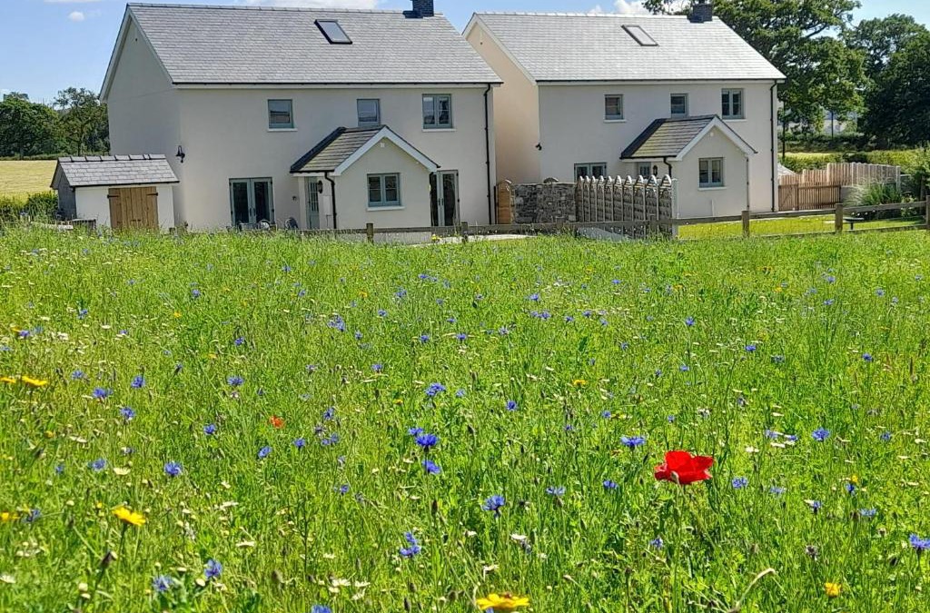 Llandovery House | Family Country Cottage with Stunning Mountain View sleeps 12