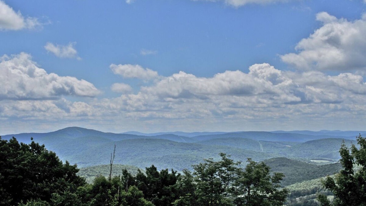 Delhi House | Family-Friendly Adventure In the Catskills! Close to Bushel Collective!
