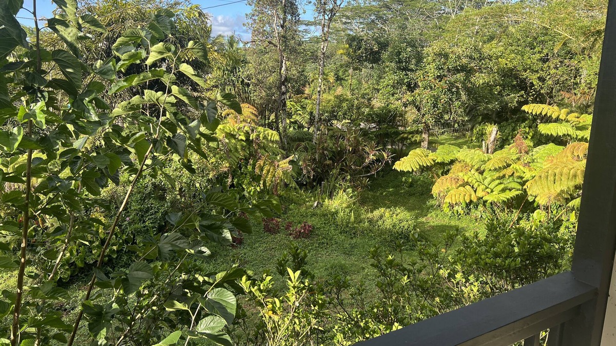 Keaau House | Family friendly, centrally located 2lvl home with epic furniture and fruit trees
