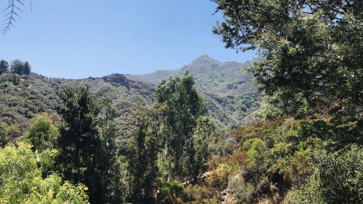 Old Topanga House | Family-Friendly,Discounted Specials Near Beach