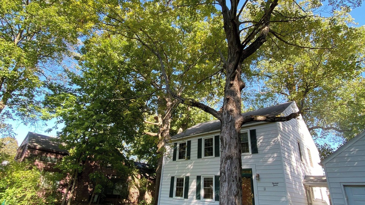 Muncie House | Family-friendly home, beautiful fenced-in yard, short walk to Ball State Campus
