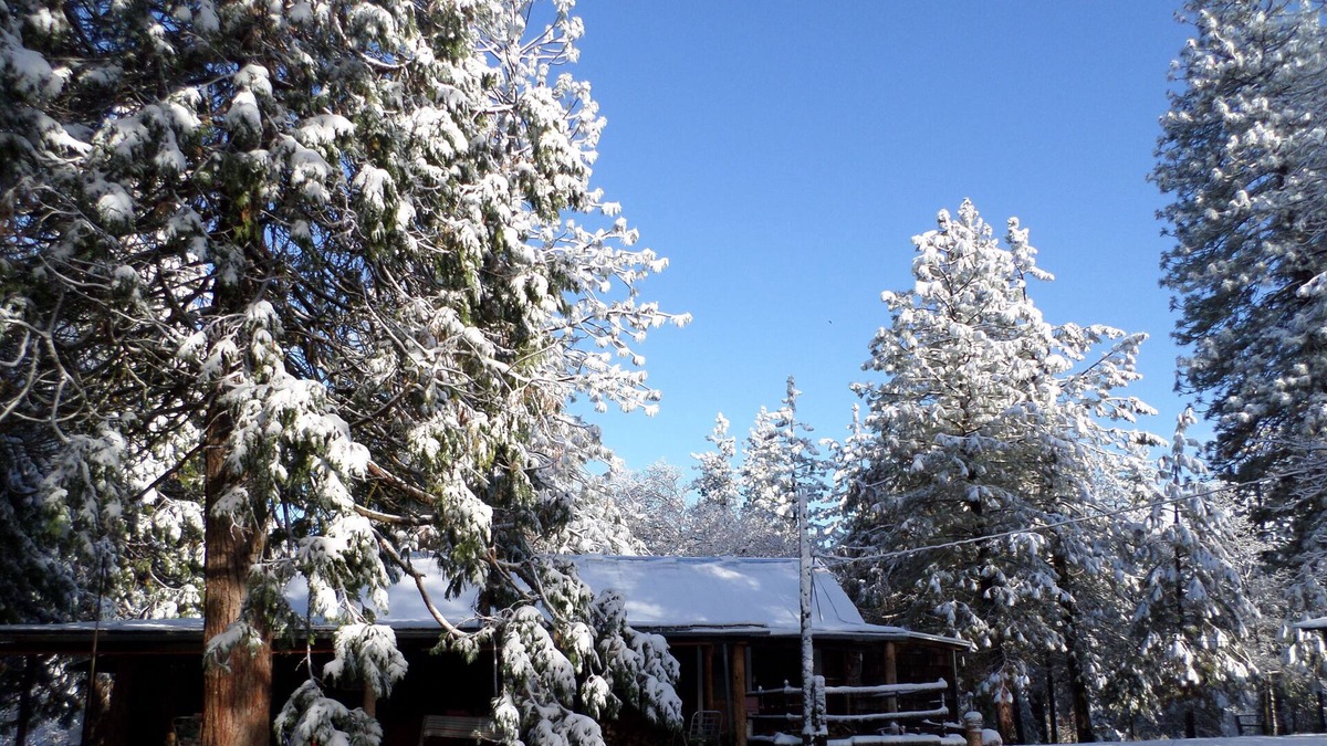 Pinehurst Cabin | Family friendly house (cabin) 20 minutes from Kings Canyon, pets welcome!