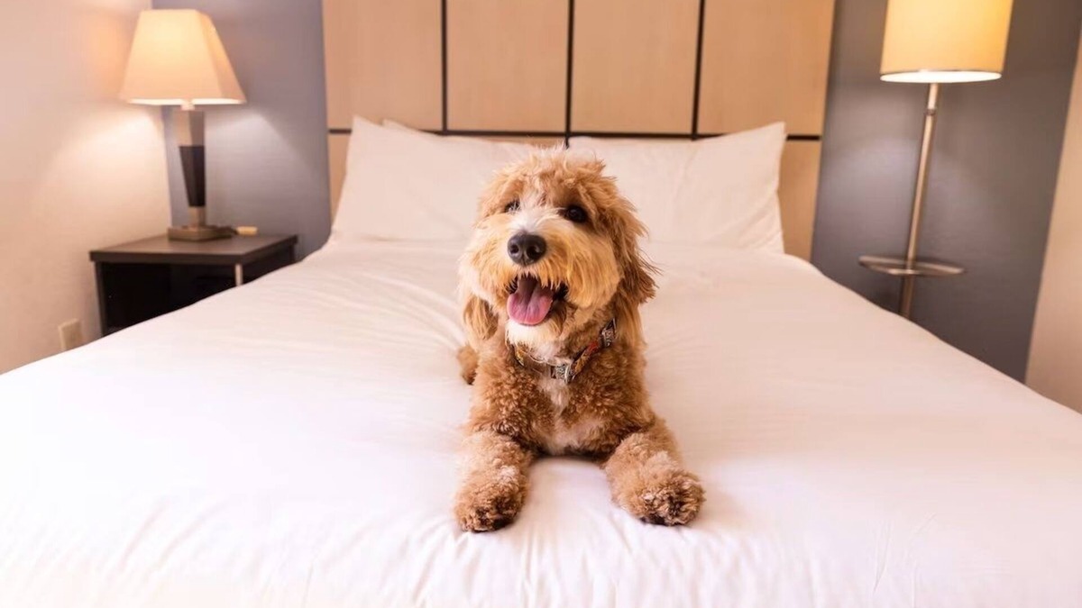Braintree Hotel | Family-Friendly Stay | Kitchens Near Freedom Trail & Quincy Market | 3 Units