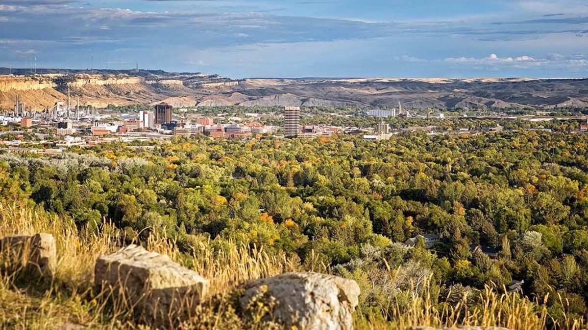 Billings House | Family & Friends Getaway, 2 Spacious Units Near Lake Elmo State Park