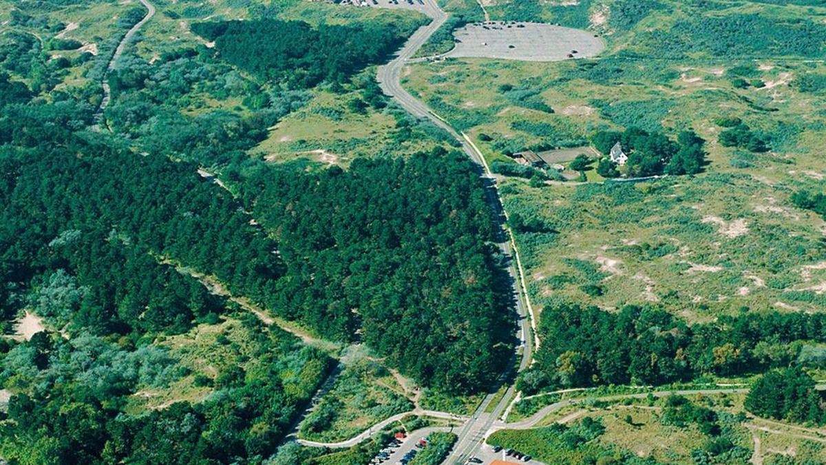 Municipality of Wassenaar Hotel | Family Getaway w/Breakfast, Near Wassenaar Beach, Outdoors & Landmarks | 3 Units