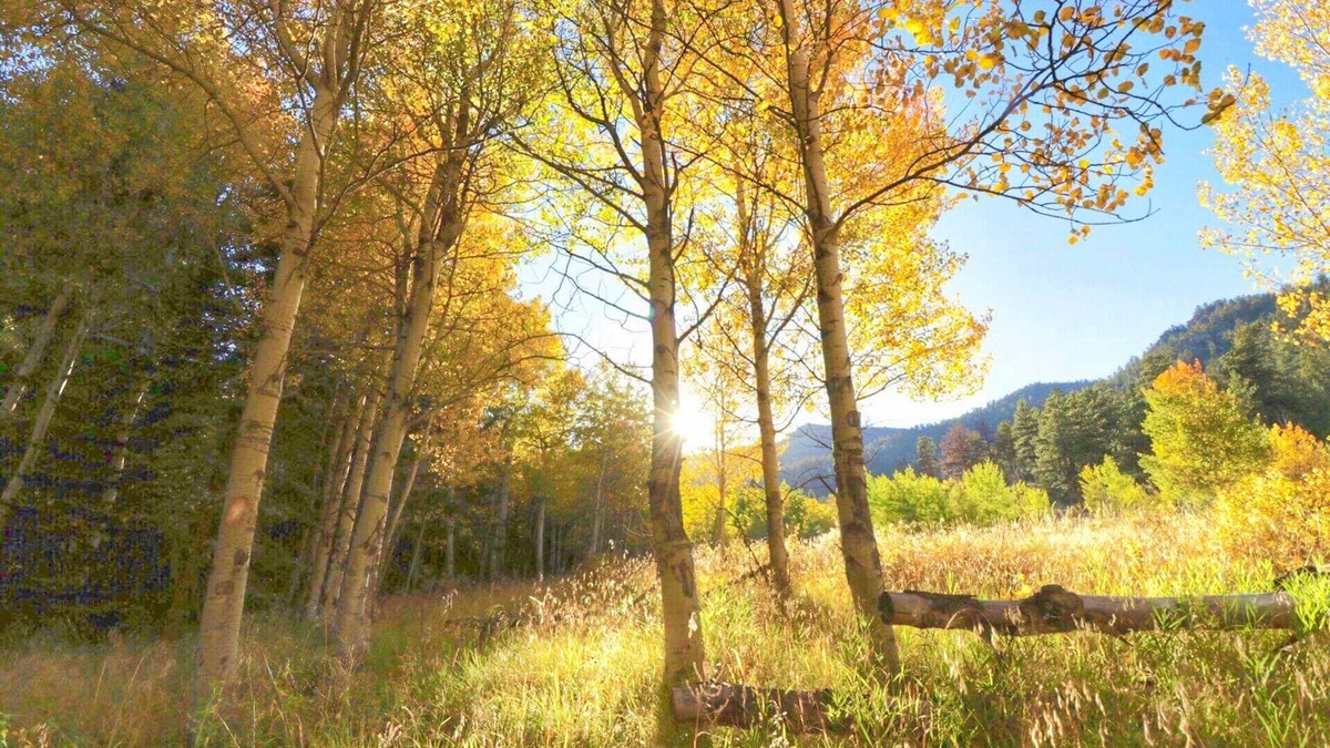 Lake George RV Rental | Family Glamping Escape 2 Queens + Twin Bed