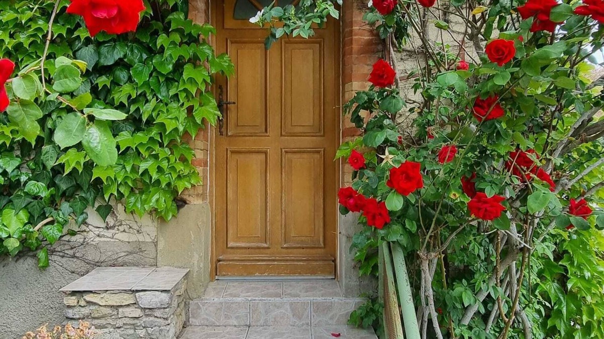 Carcassonne House | Family holiday home in a quiet location, just a few minutes from the Cité