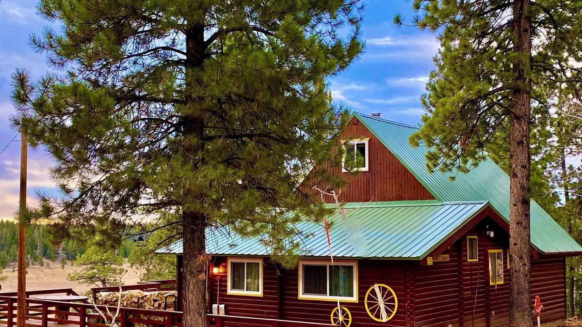 Meadow View Heights Cabin | Family & Pet friendly! THAT Cabin with the amazing view!