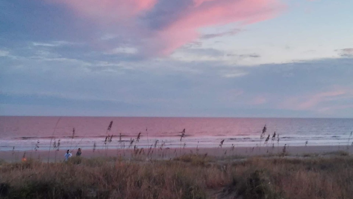 West Beach House | Family & Pet friendly Beachfront - 5 Eugenia