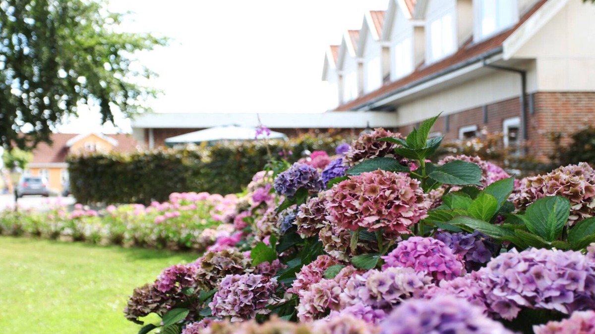 Tasinge Hotel | Fangel Kro & Hotel