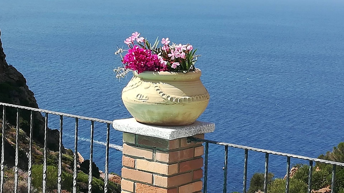 Nebida Villa | Fantastic and cozy villa with sea view and private parking