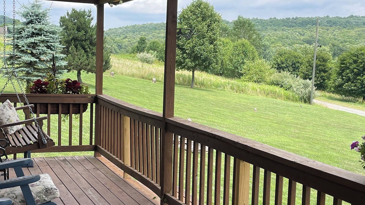 Bruceton Mills Cabin | Fantastic Cabin! Mountain Views King Bed Fast Wifi Veteran Owned