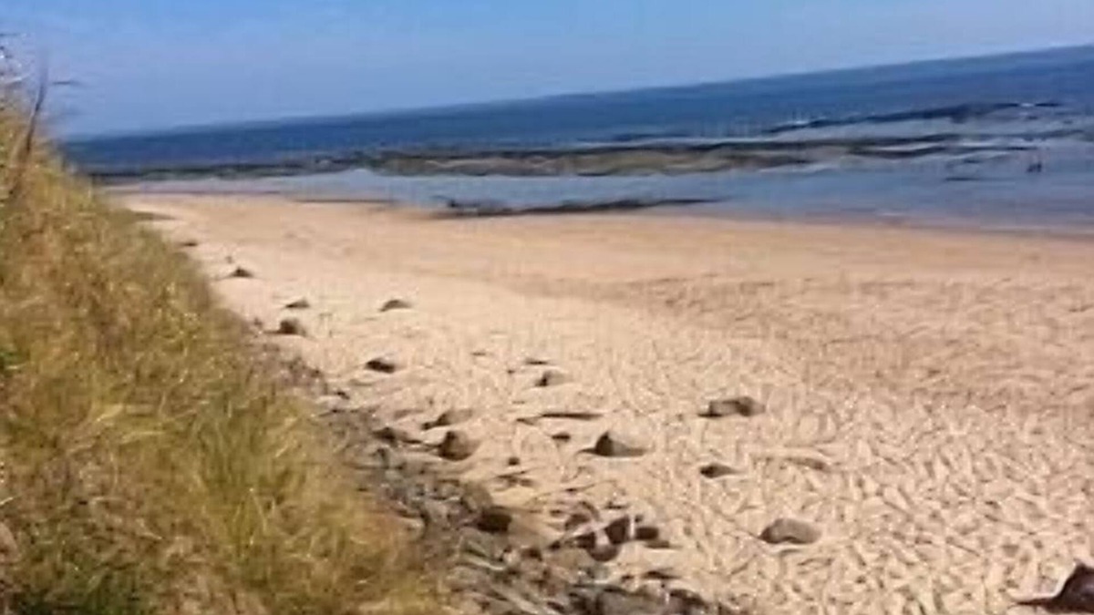 Bamburgh House | Fantastic Family House With Unrivalled Views Of Bamburgh Castle And Holy Island