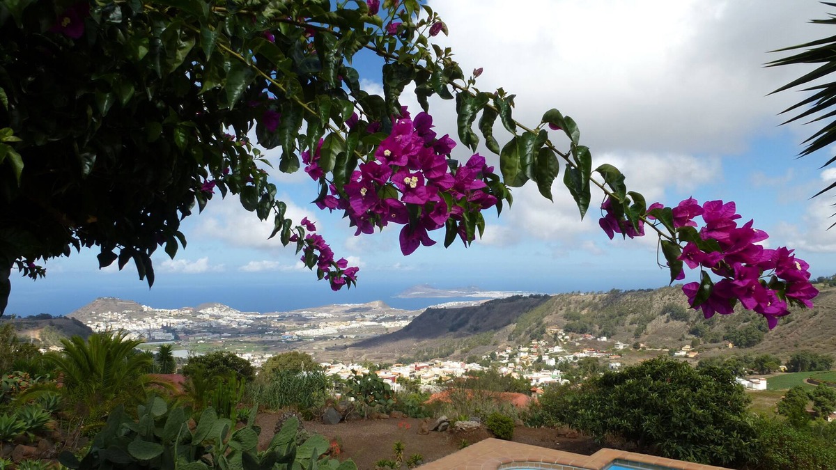 Los Portales Apartment | Fantastic sea view - Arucas and Las Palmas with wellness / sauna