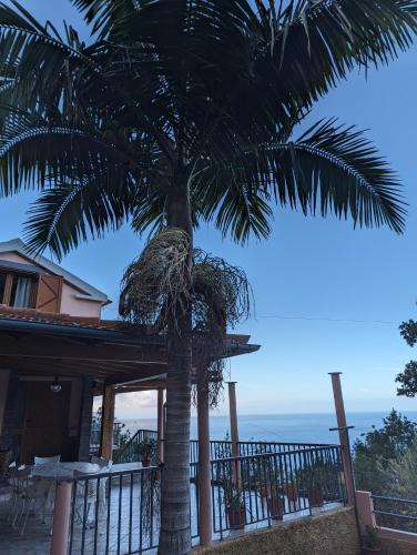 Ponta Delgada House | Fantatic Holiday House