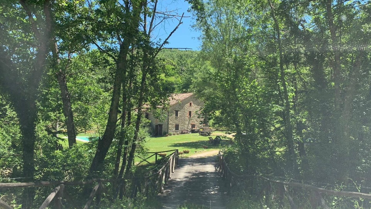 Monte Santa Maria Tiberina House | Farmhouse immersed in the woods