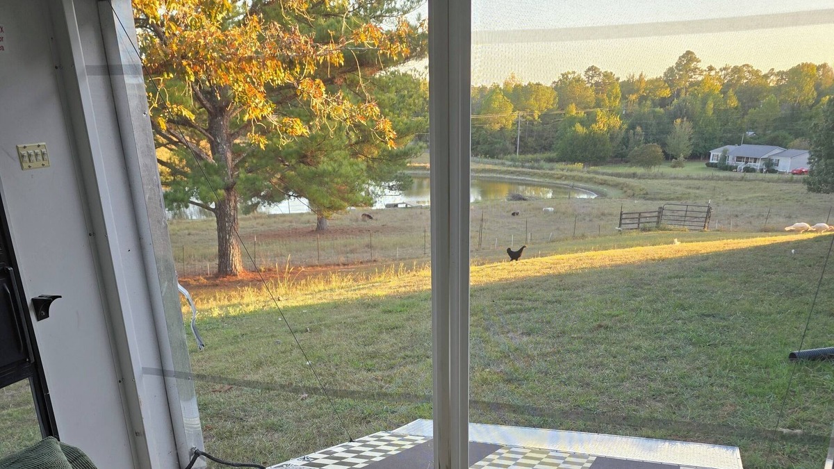 Water Valley Villa | Farm experience 3-bedroom tiny uome in Water Valley with AC -emus/donkey/cow ect