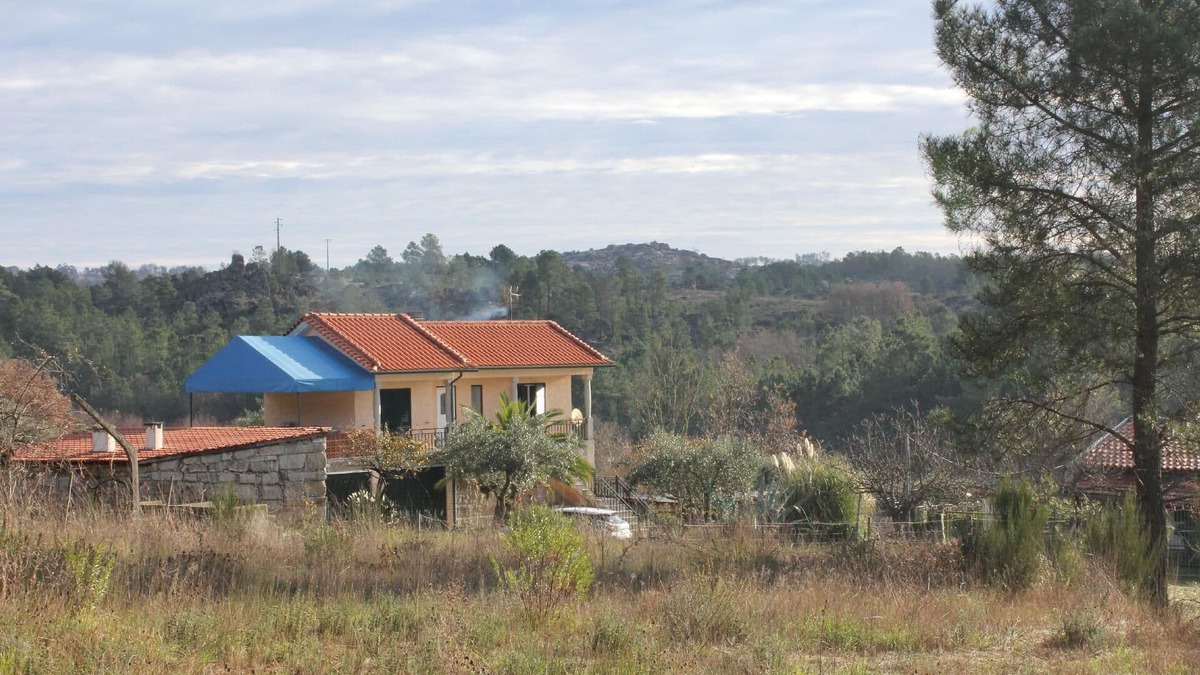 Matanca Other | Farm holidays with vineyard