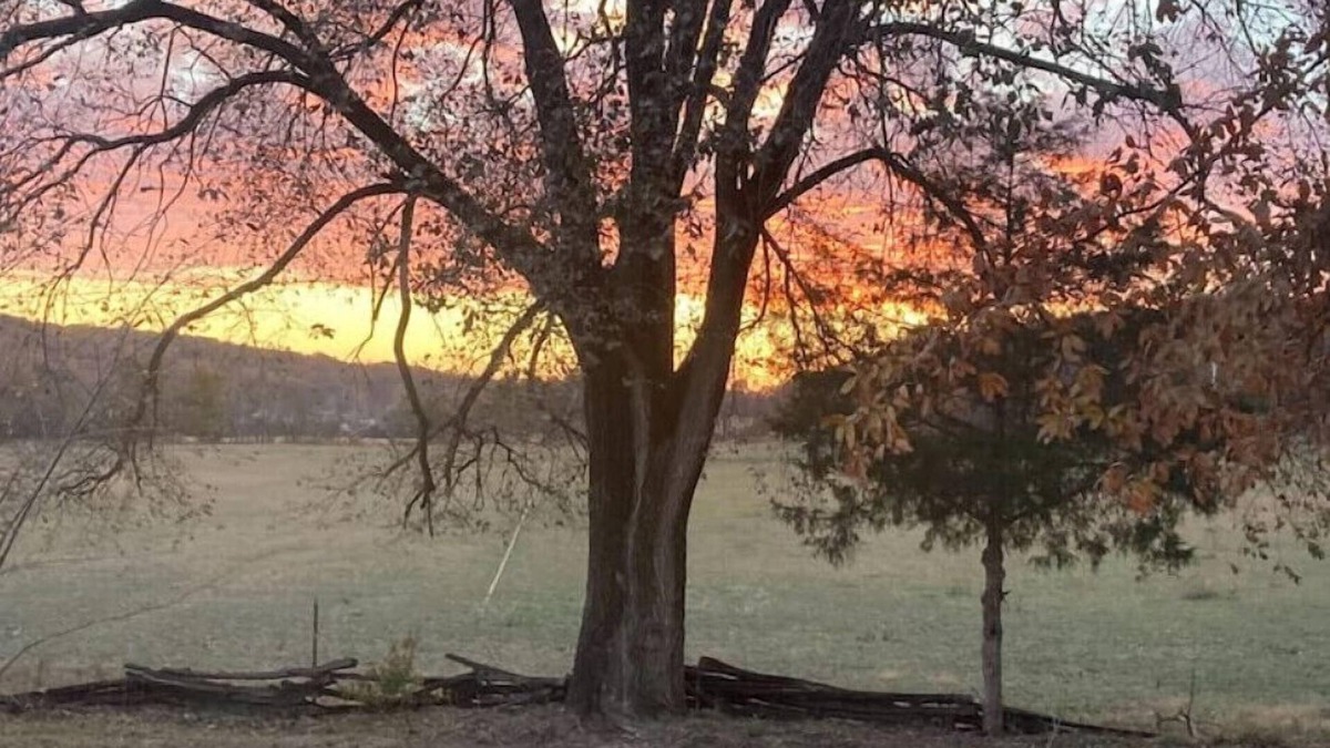 Mount Sterling House | Farm home on 143 beautiful acresn