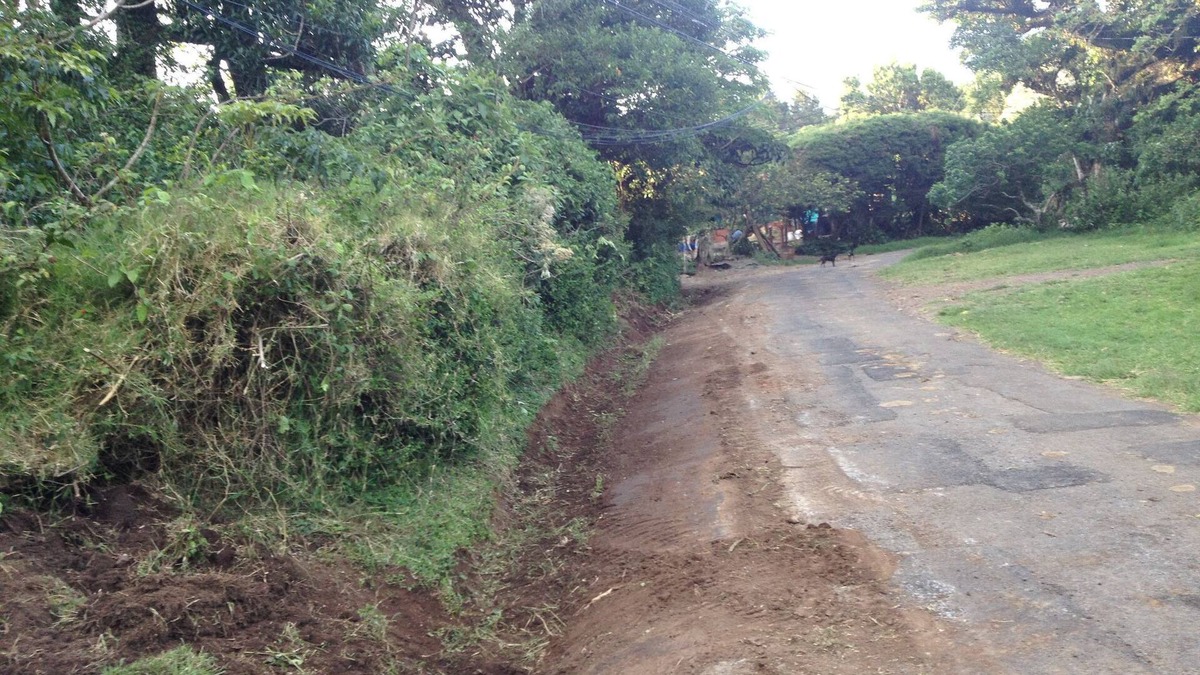 Concepcion RV Rental | Farm in heredia with tons of forest and great hikes